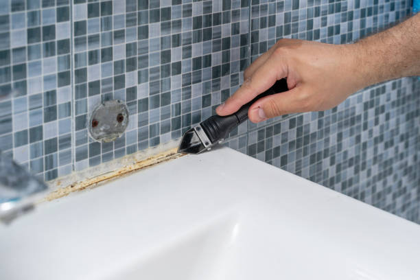 Best Mold Remediation  in Salt Lake City, UT