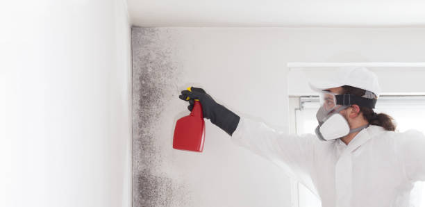 Best Mold Testing  in Salt Lake City, UT