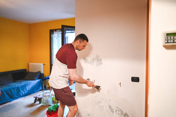 Mold Removal Process in Salt Lake City, UT